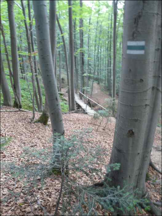 P1090990