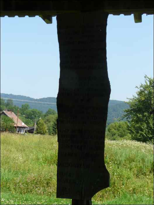 P1100003
