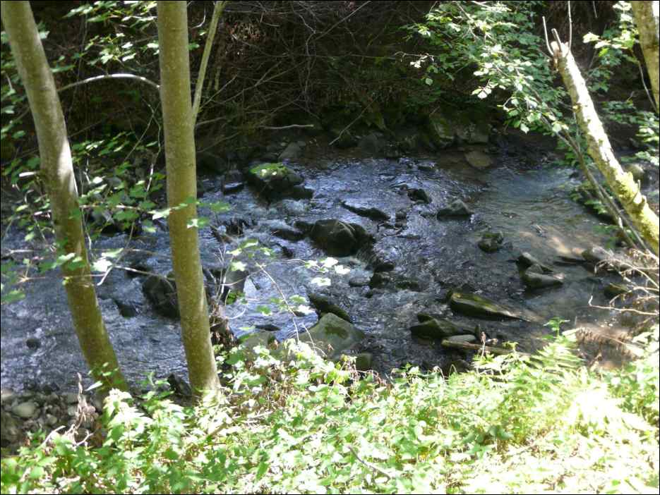 P1100016