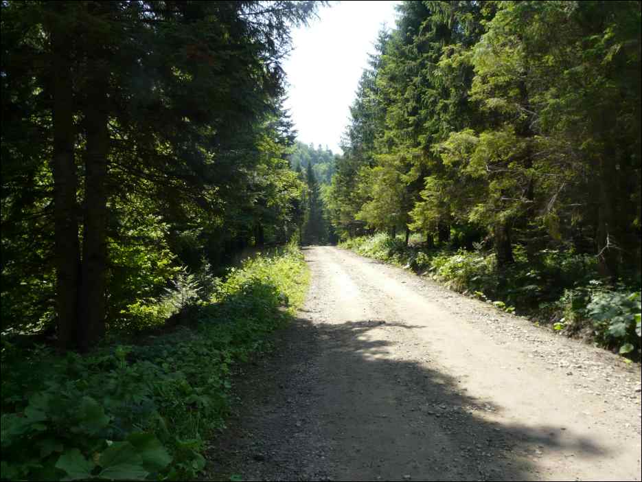 P1100017