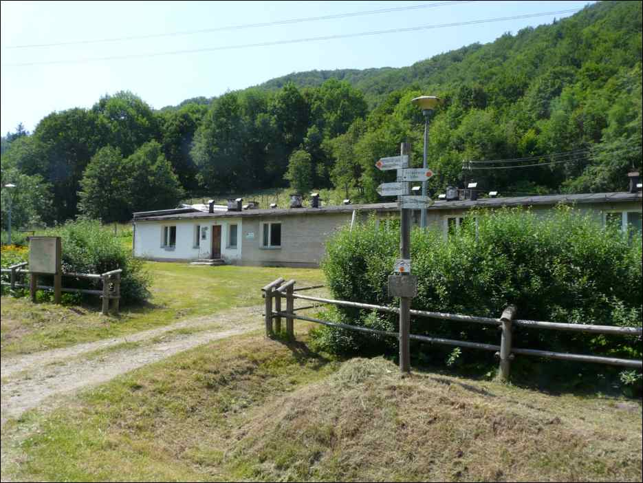 P1100024