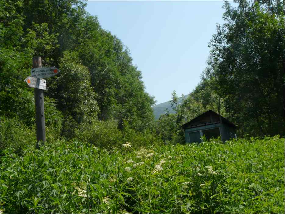 P1100025