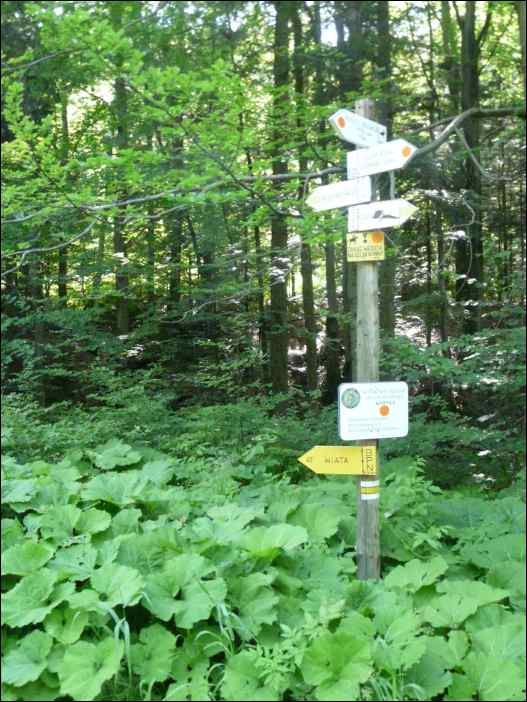 P1100035