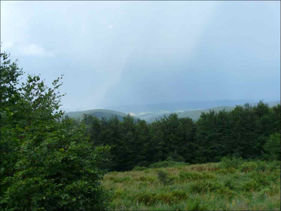P1100040
