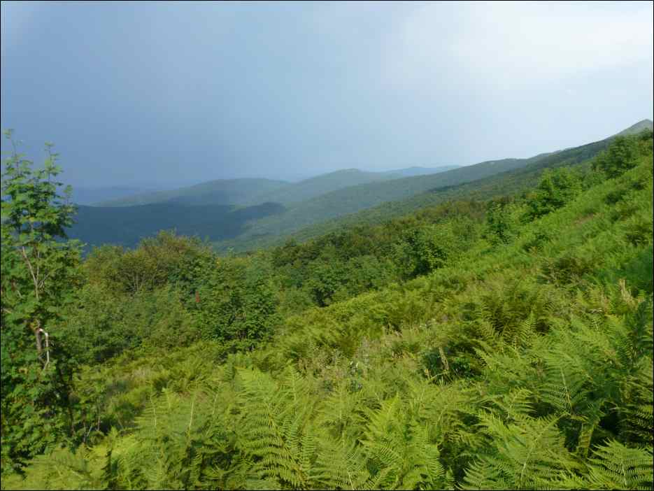 P1100043