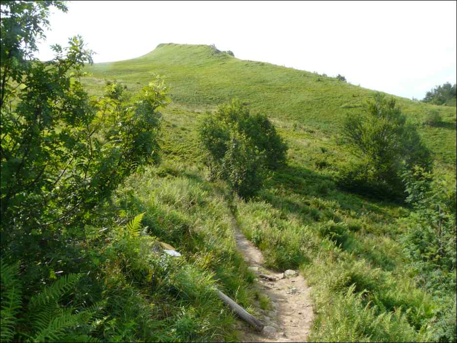 P1100046