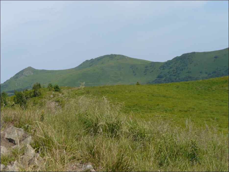 P1100067