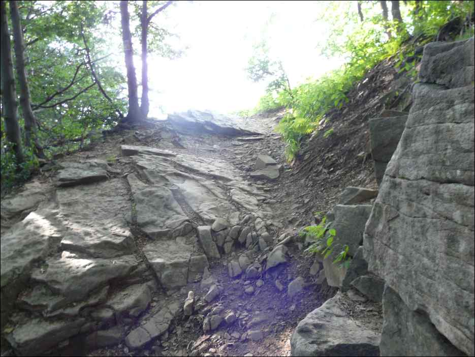 P1100070