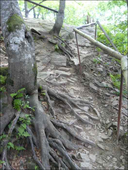 P1100073