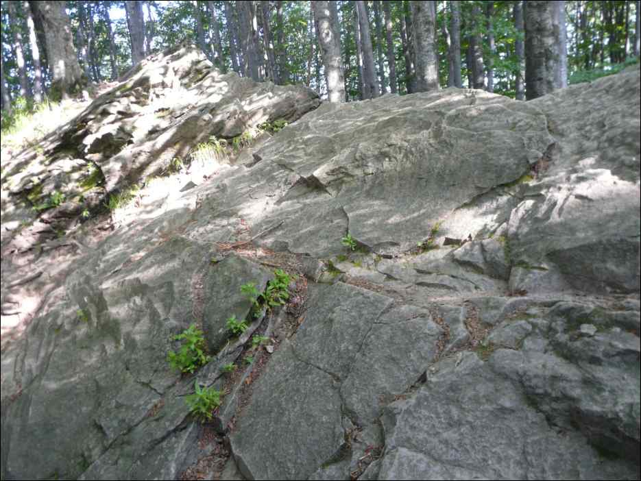 P1100074