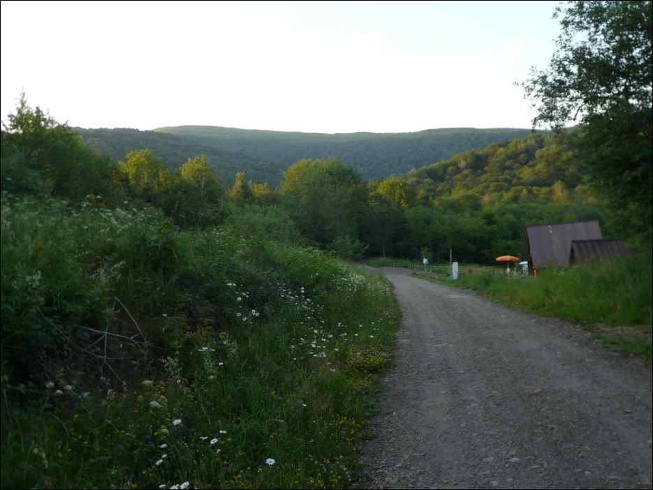 P1100080