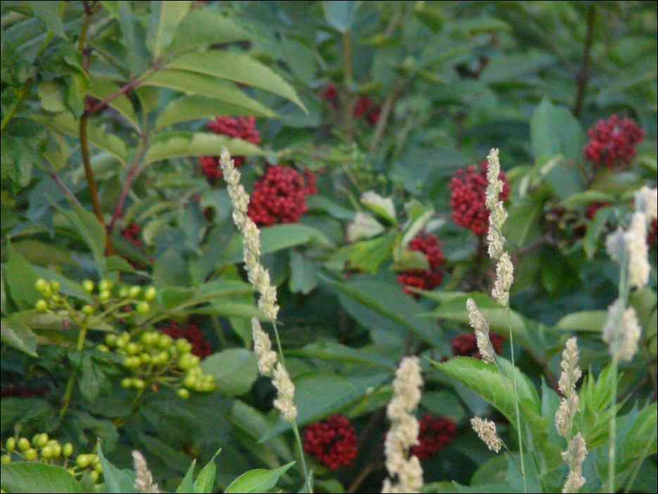P1100081