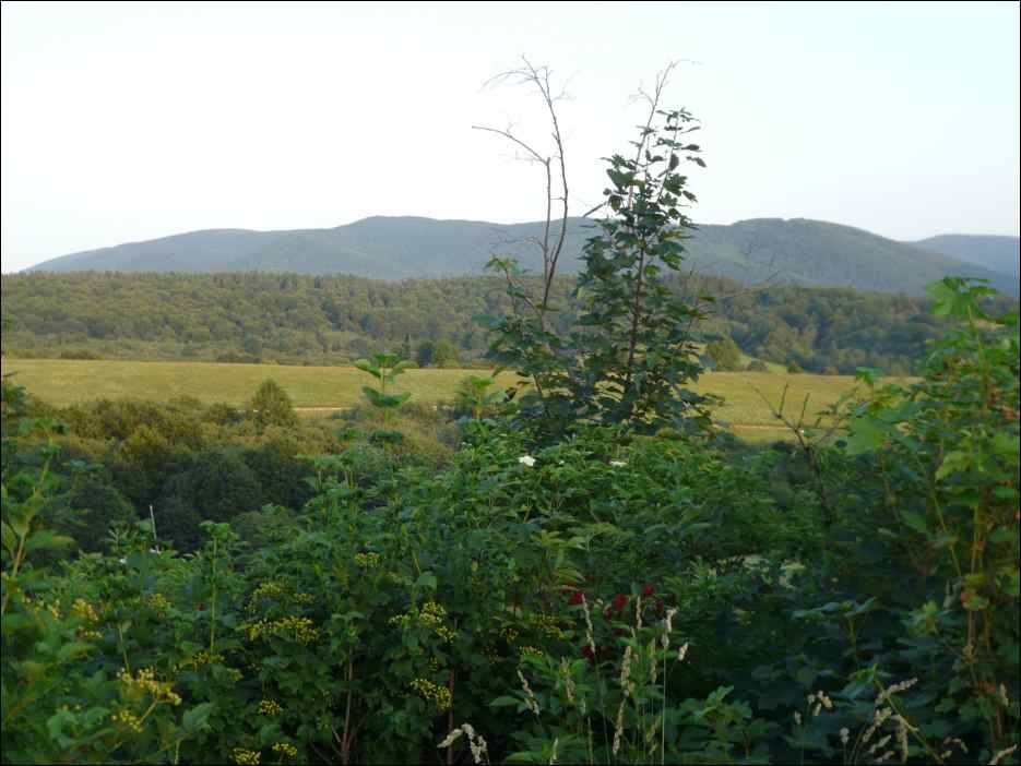 P1100082