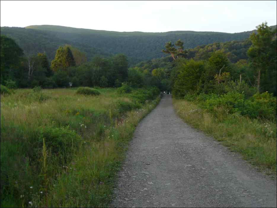 P1100084