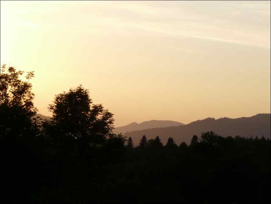 P1100089