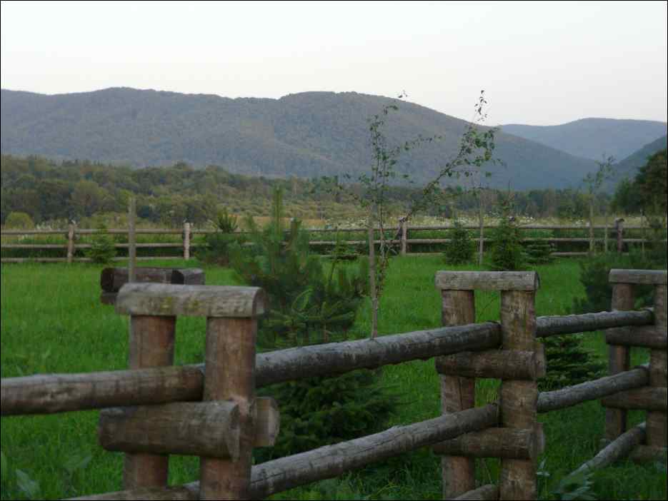 P1100093