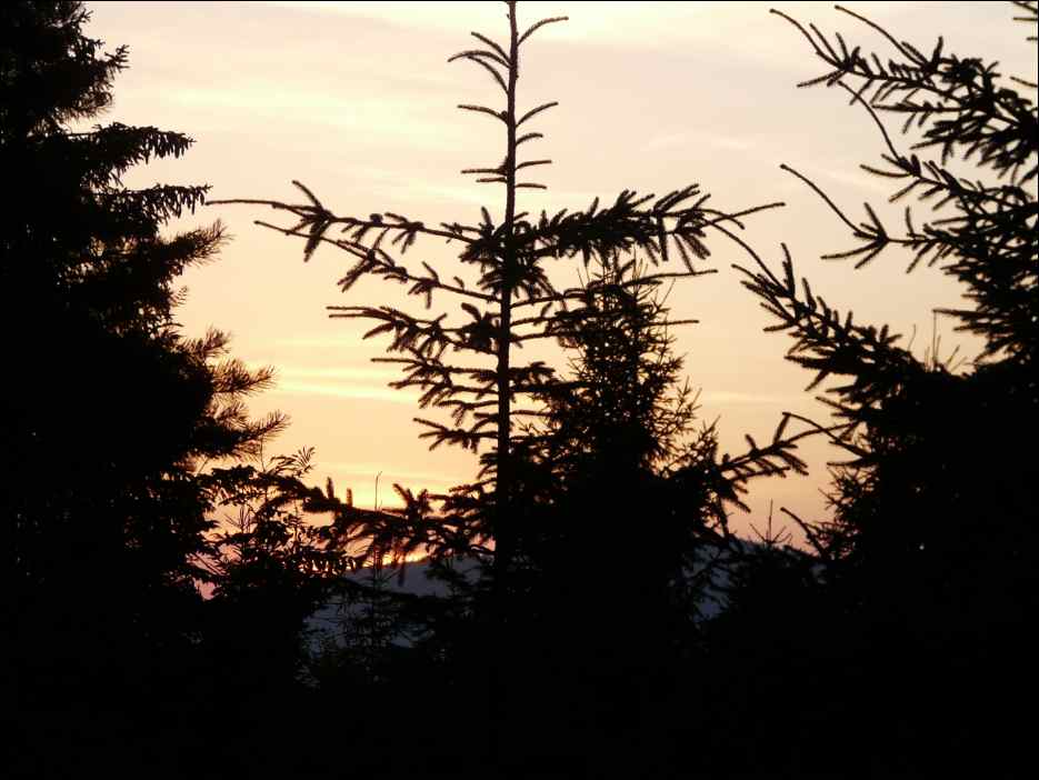 P1100103