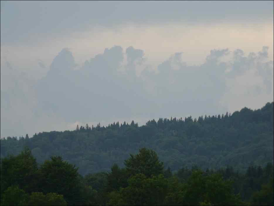 P1100137