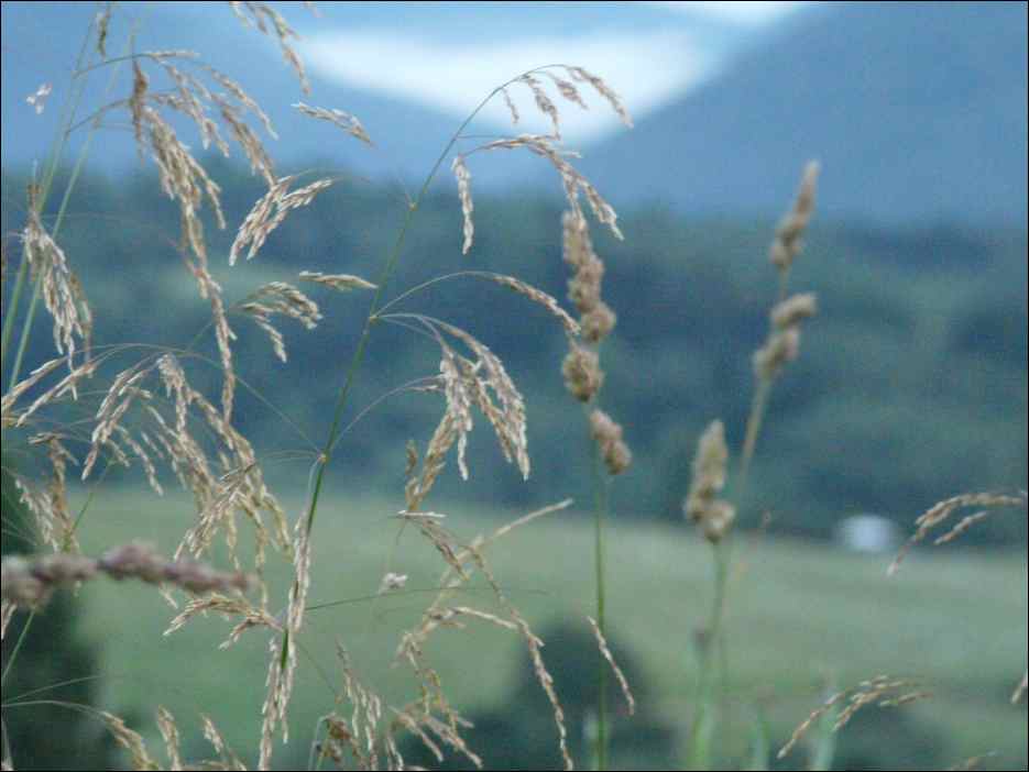 P1100161