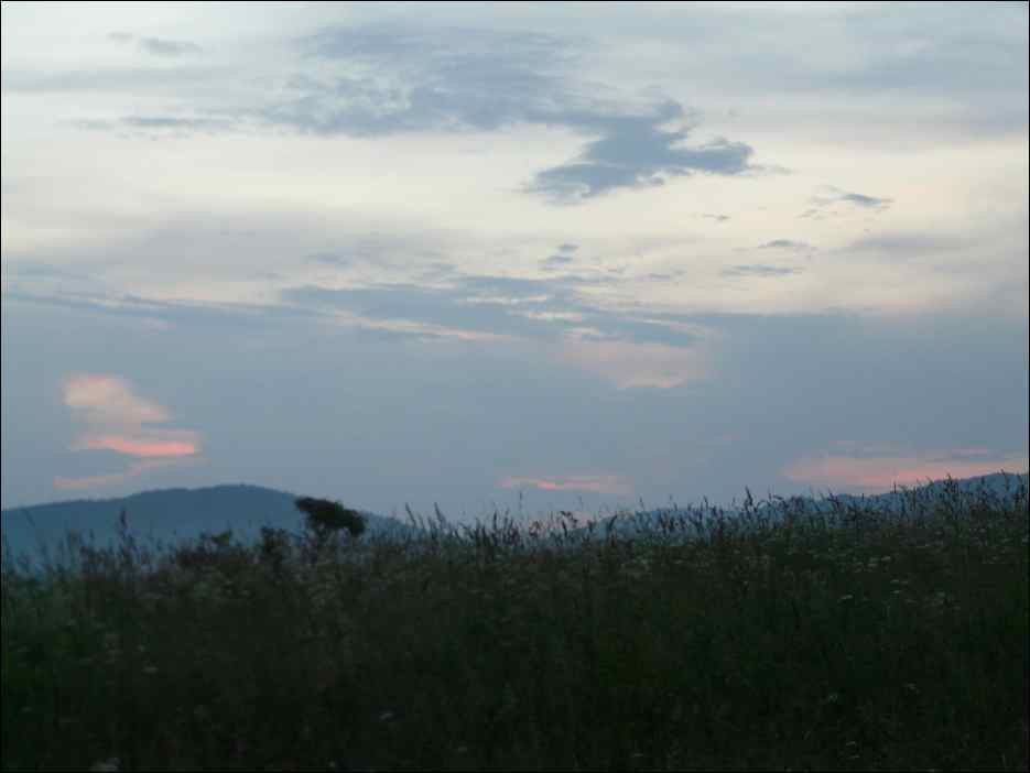 P1100169