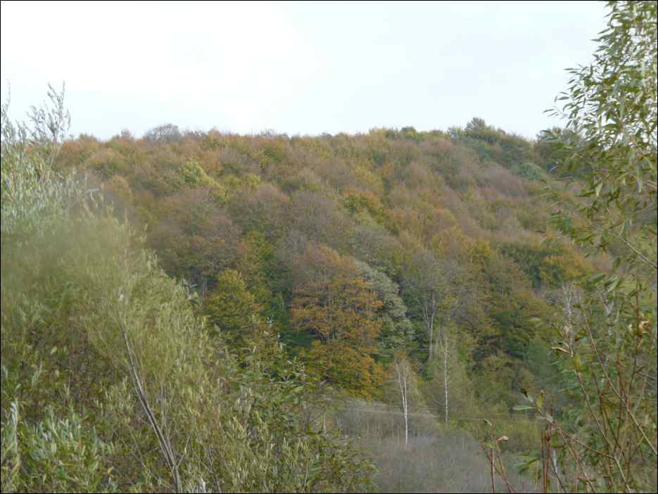 P1100363