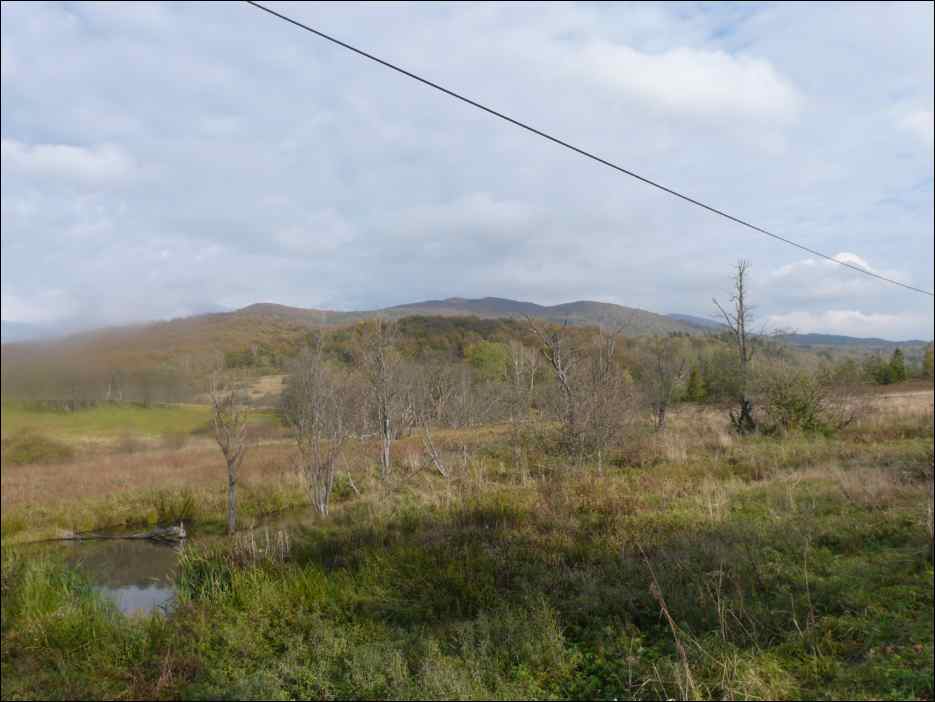 P1100369