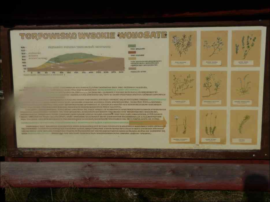 P1100372