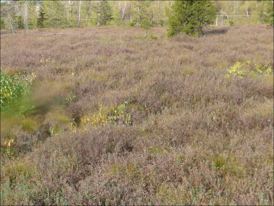 P1100373