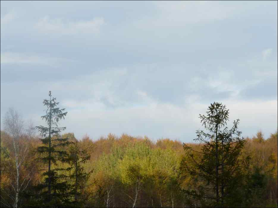 P1100376