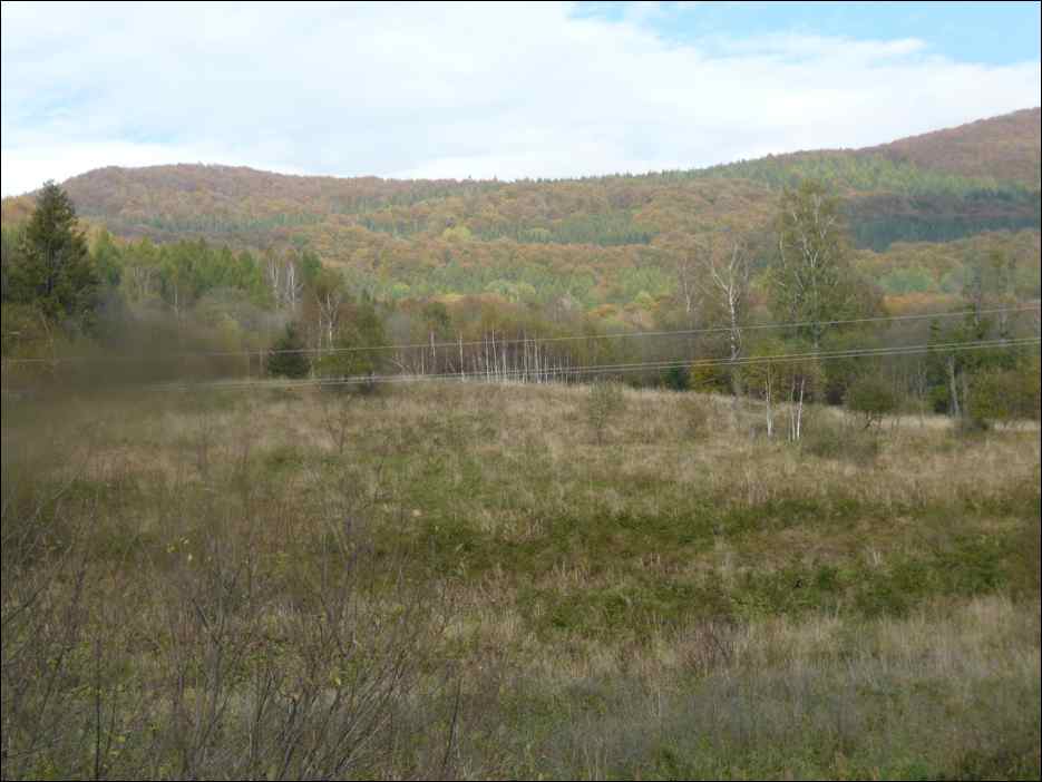 P1100377
