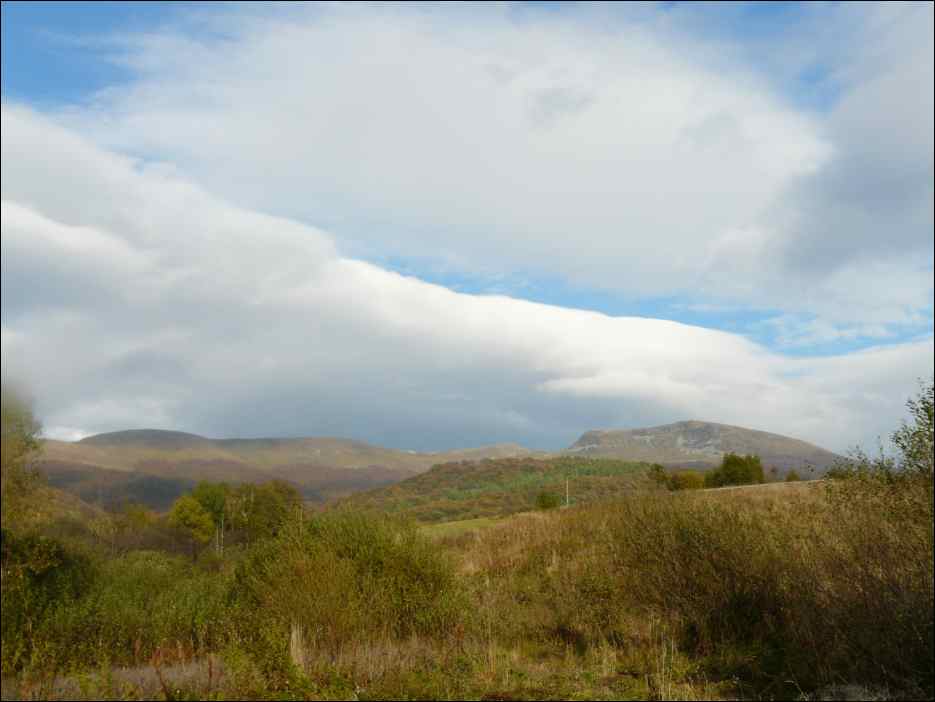 P1100389