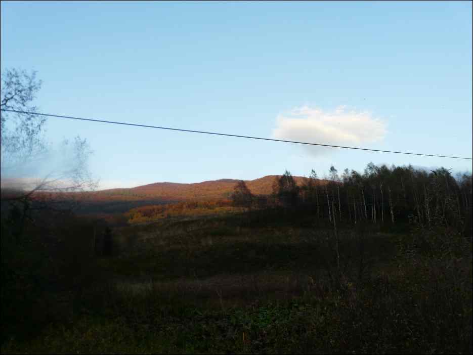 P1100394