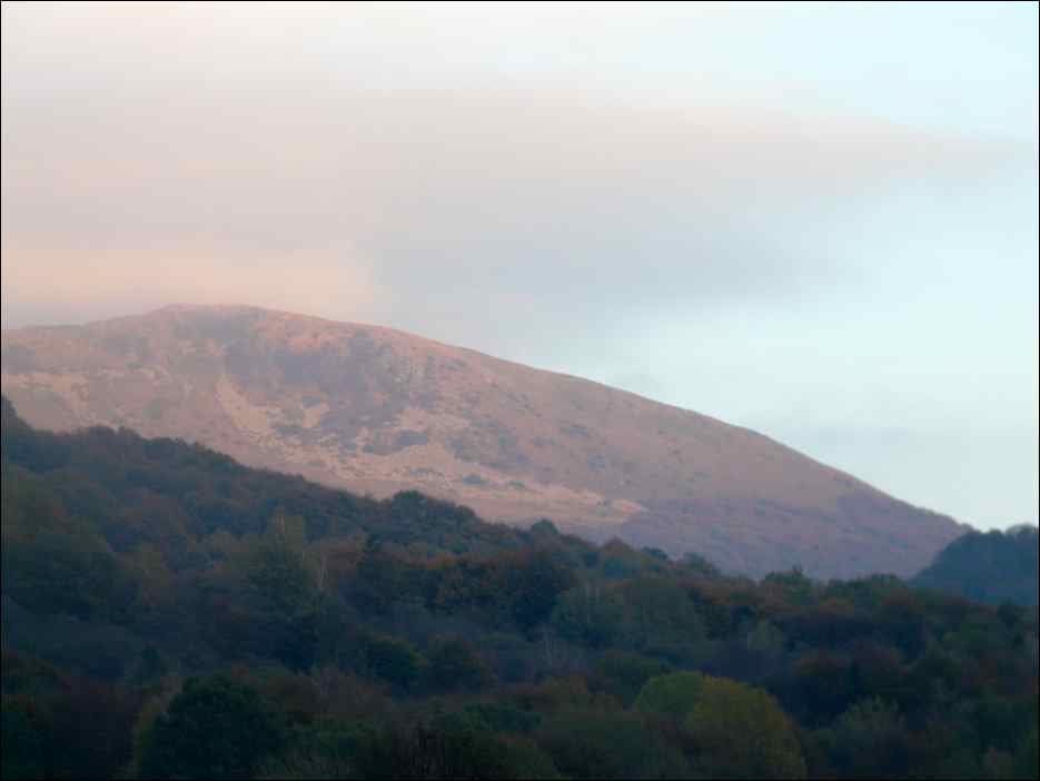 P1100397