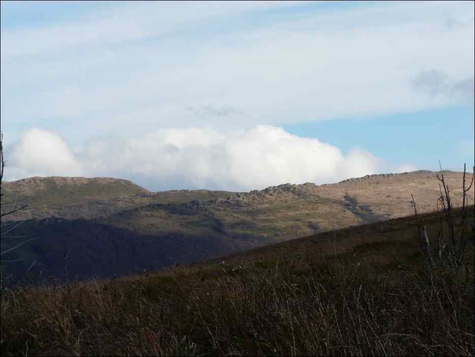 P1100449