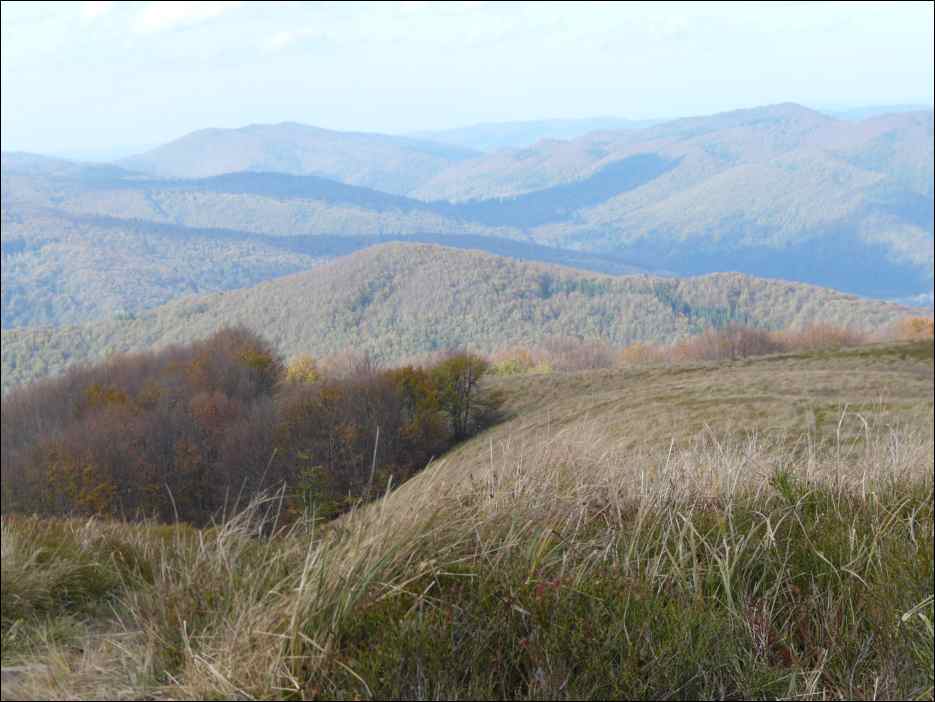 P1100467