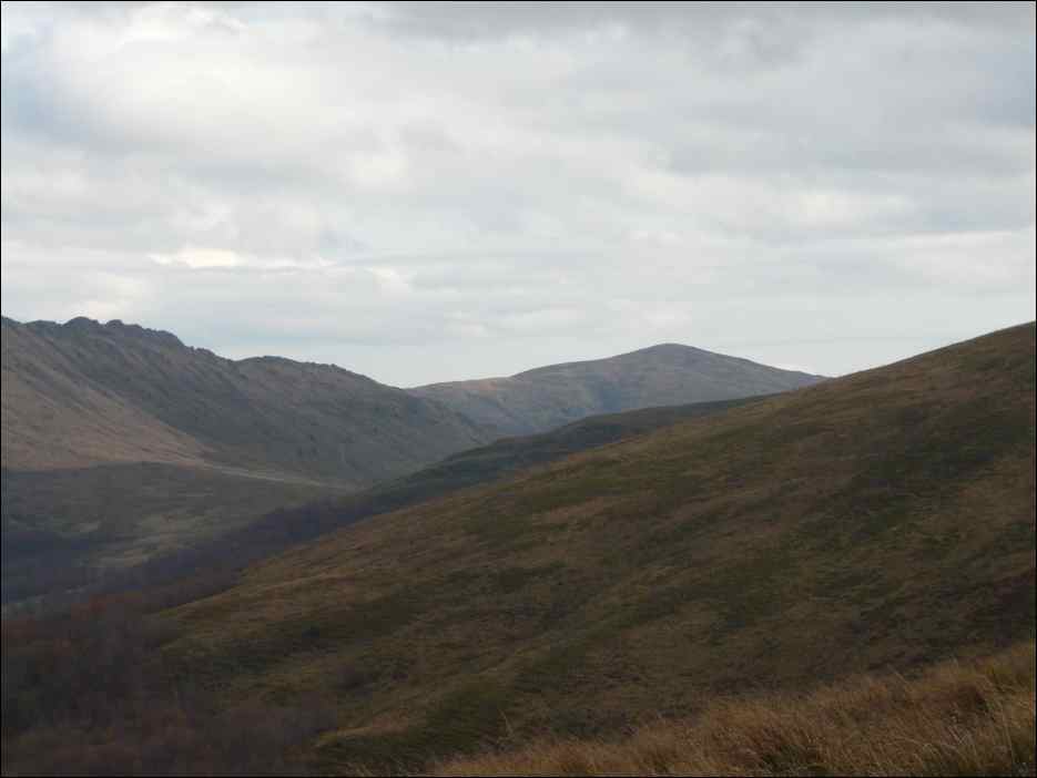 P1100469