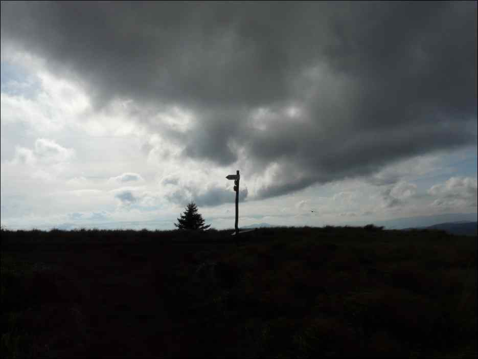 P1100471