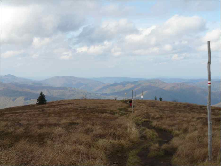 P1100473