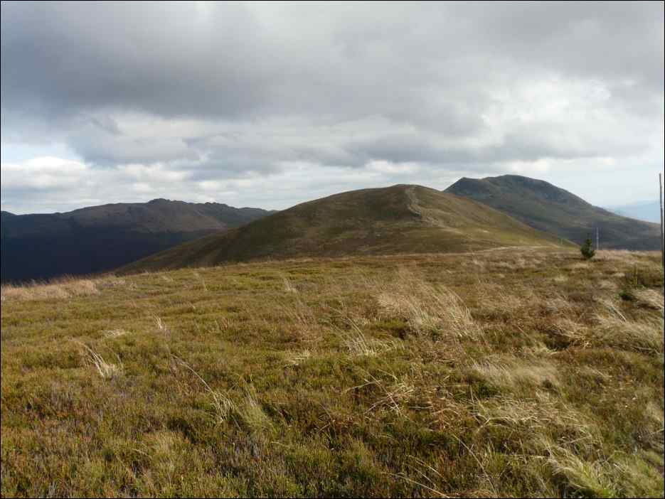 P1100474