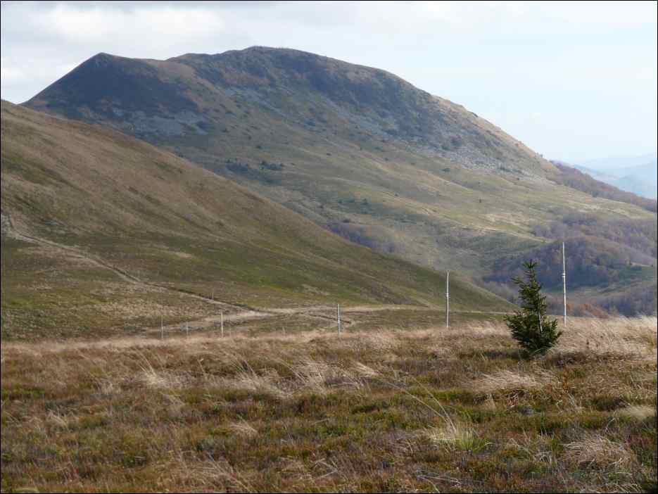 P1100475