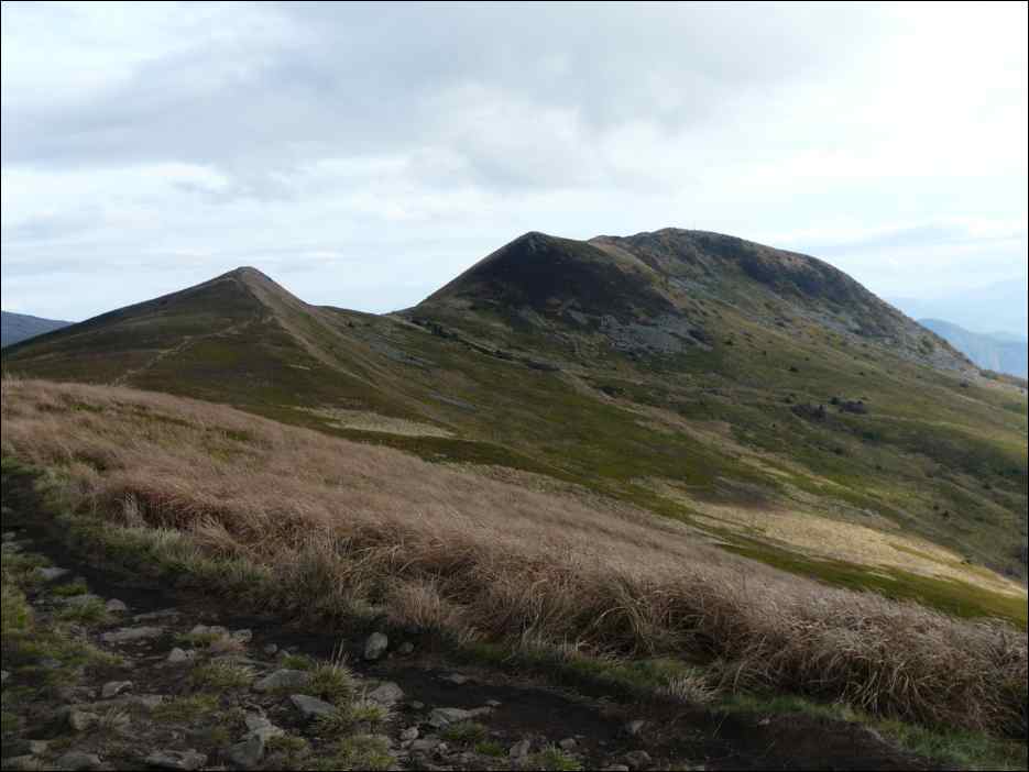 P1100491