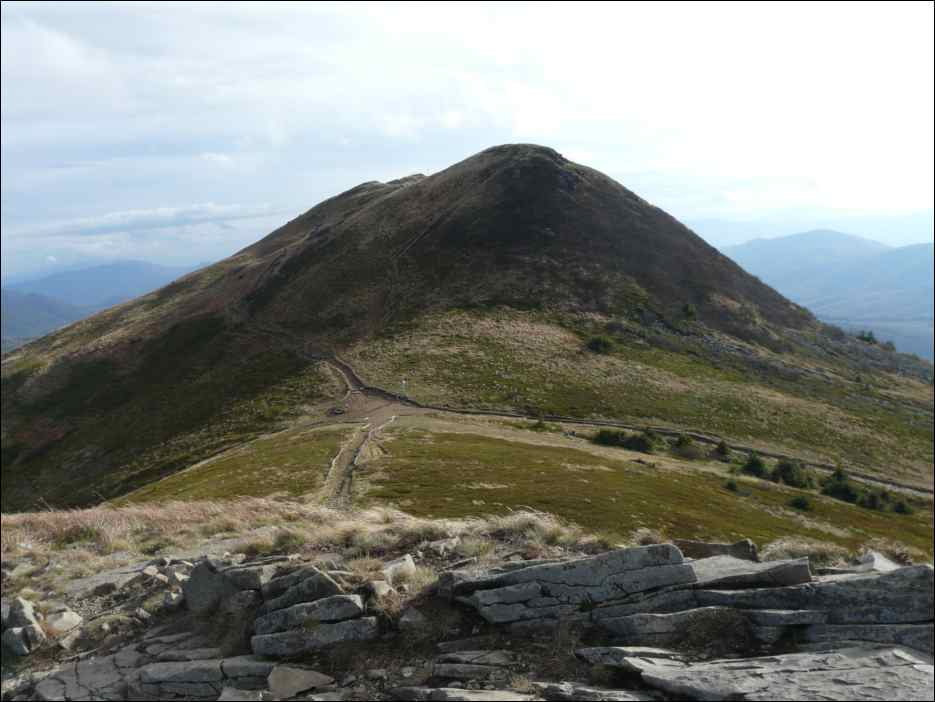 P1100501