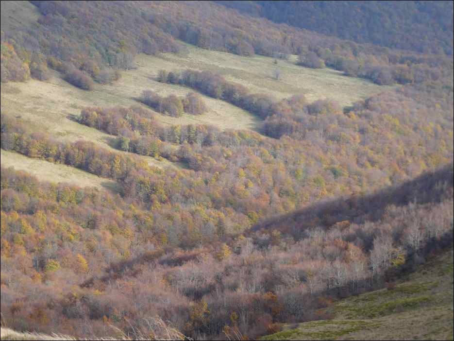 P1100503