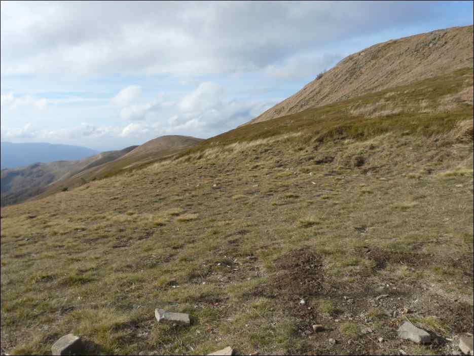 P1100507