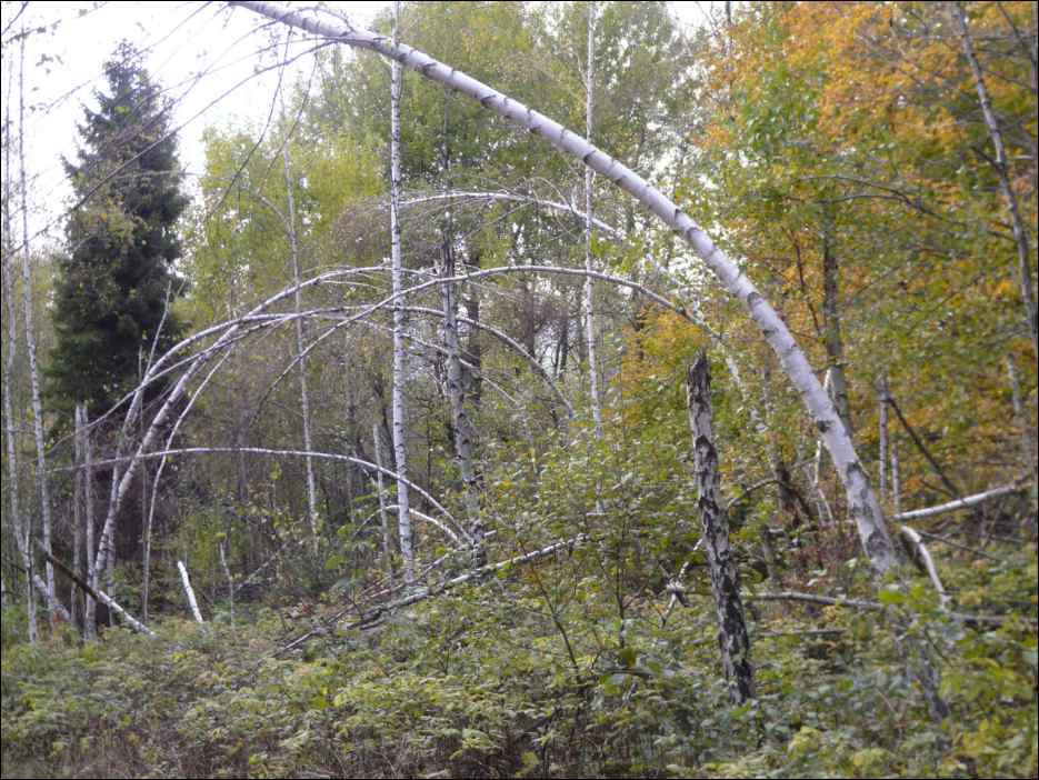 P1100522