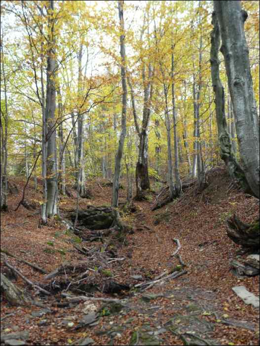 P1100551