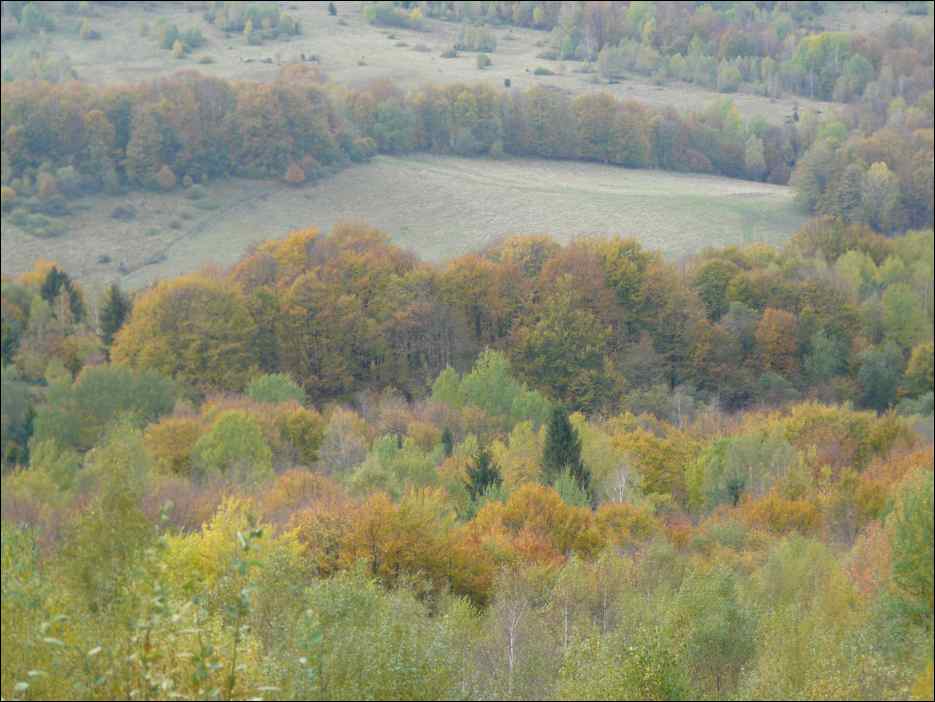 P1100559