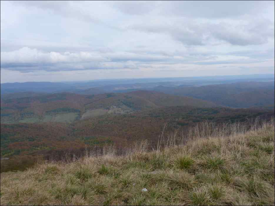 P1100595