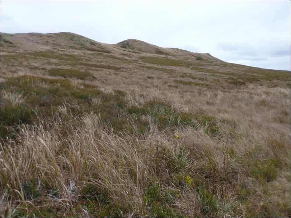 P1100624