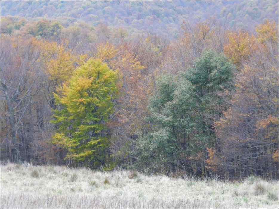 P1100625